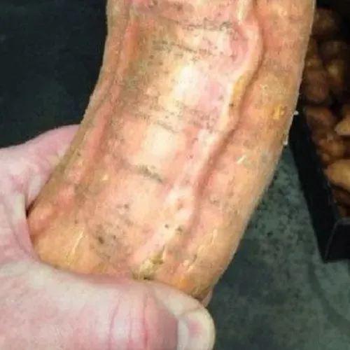 Если вы сделаете это несколько раз, ваш член встанет как скала. (Кликните на фото)